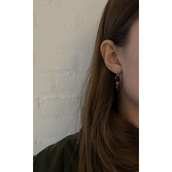 LULA Earrings - Tigers Eye